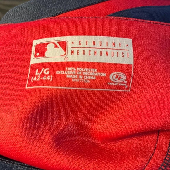 True Fan Mens XL Boston Redsox Button Down Team Logo Baseball Jersey - Picture 2 of 3